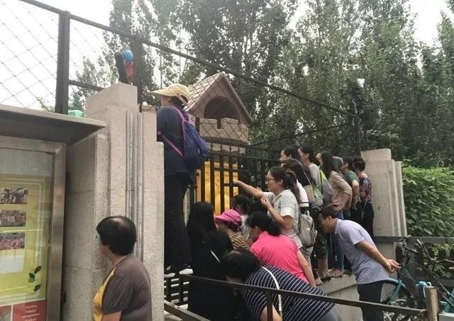 图1.jpg