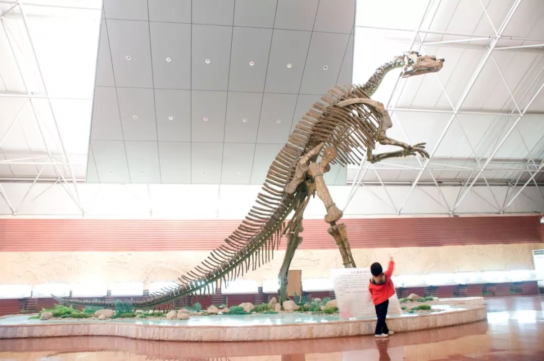 图1.jpg